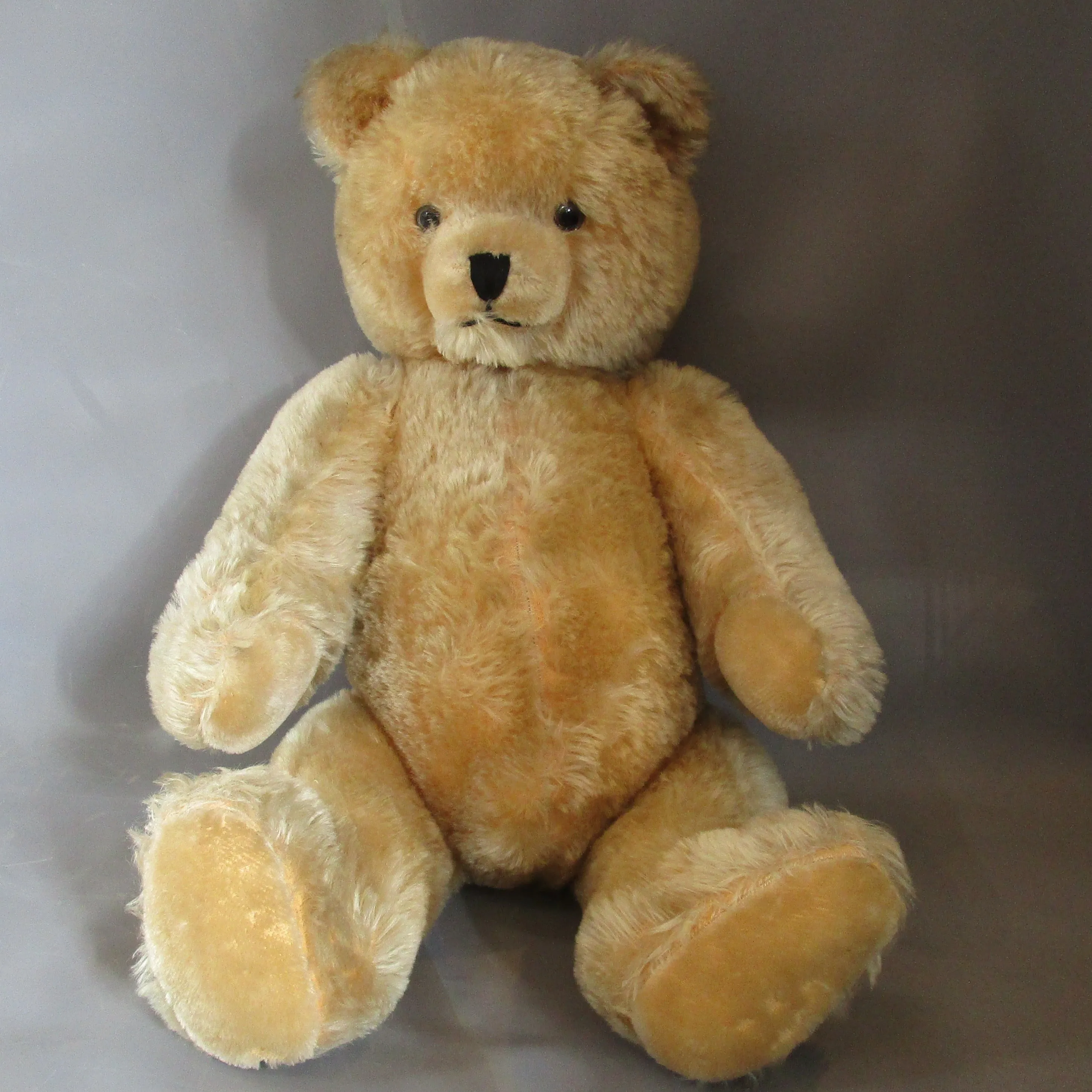 Wood Filled Shuco German Teddy Bear Vintage c1950